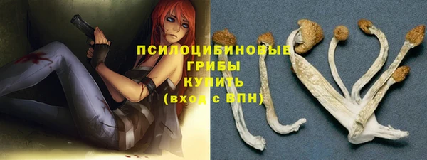 МДПВ Абаза