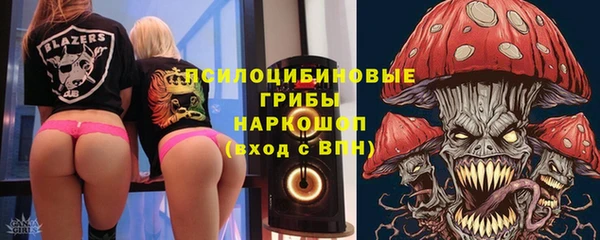 ГАЛЛЮЦИНОГЕННЫЕ ГРИБЫ Алексин