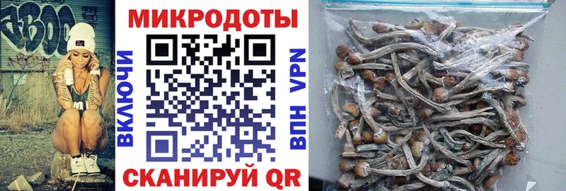 Галлюциногенные грибы ЛСД  это клад  Томмот 